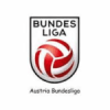Bundes Liga